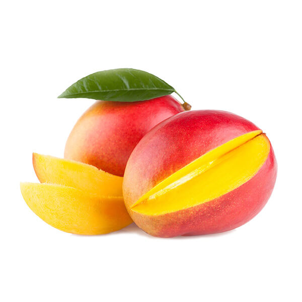o20